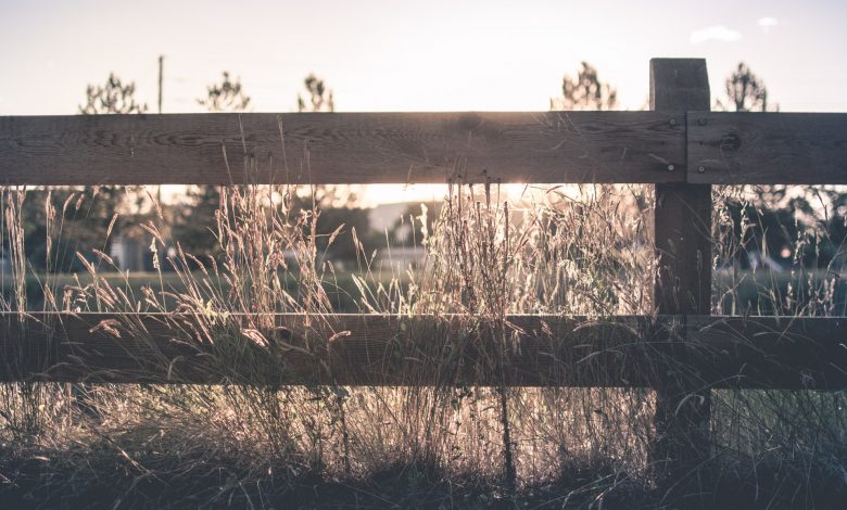 Photo of Je tuin afbakenen met een hek