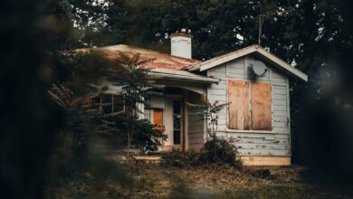 Photo of Het huis van Guus Meeuwis: een opvallend verhaal in Tilburg
