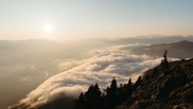 Photo of Onbekende telefoonnummers zoals +31 50 808 07 27: Herken en bescherm jezelf