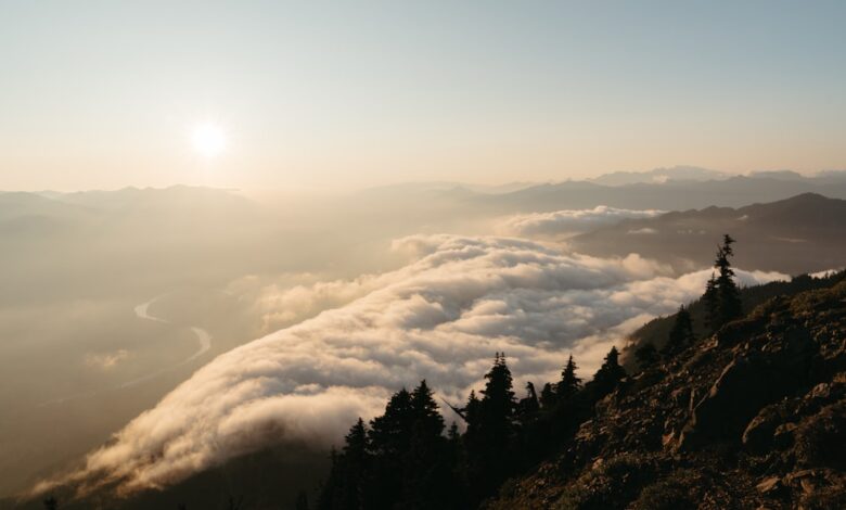 Photo of Onbekende telefoonnummers zoals +31 50 808 07 27: Herken en bescherm jezelf