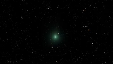 Photo of Het leven van Jelka van Houten na haar scheiding