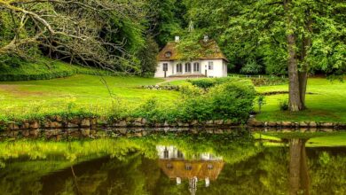 Photo of De luie tuin: hoe je een stijlvolle tuin maakt met weinig onderhoud