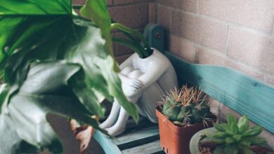 Photo of Rhododendron snoeien voor een sterke en mooie plant